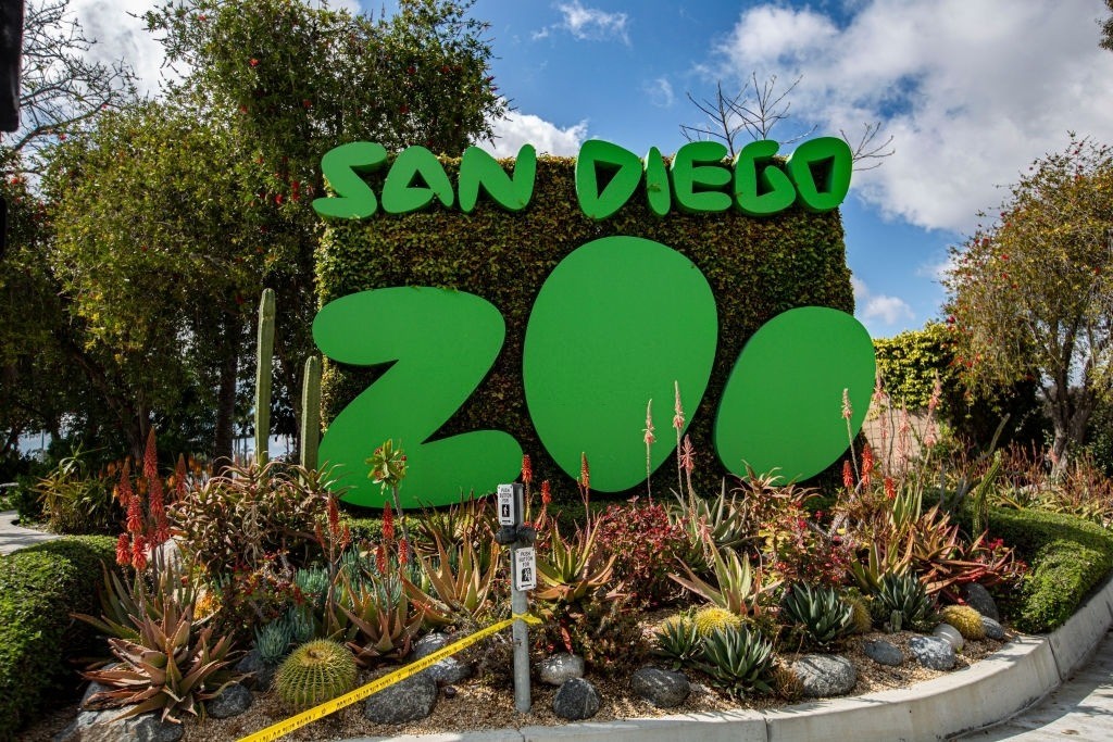 San Diego Zoo Bag Policy 2026: Everything You Need To Know