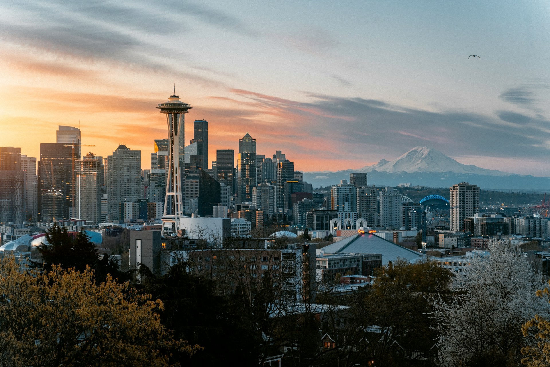 Best Coffee, Markets and Outdoor Spots Near Lumen Field, Seattle